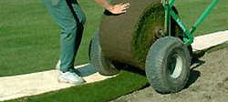 Roll lawn