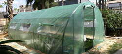 Greenhouse in Agriculture