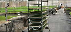 Mashtila - Greenhouse for growing seedlings
