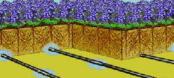 Underground irrigation systems