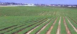 Irrigation in Israel