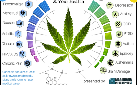 Cannabis and Your Health