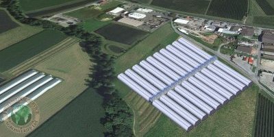 Agricultural cluster