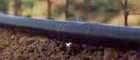 Drip Irrigation