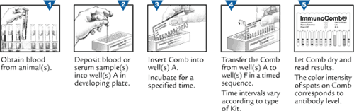 Kit Development Process