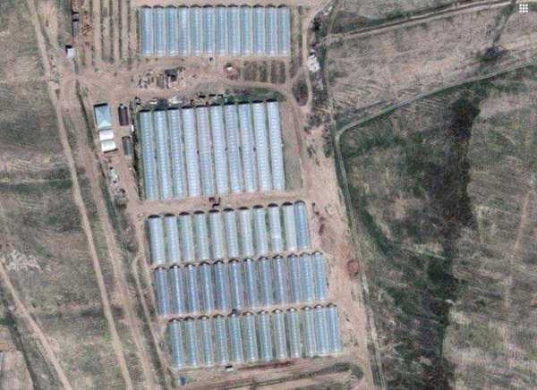 View from the satellite: farm Saburov.