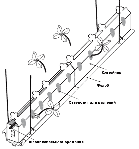 installation of the container