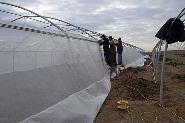 Construction of greenhouses TEDEN