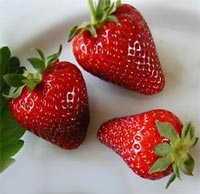 Strawberries