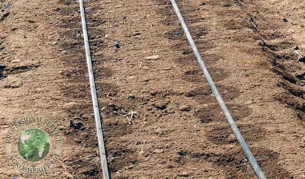 Automatic watering control