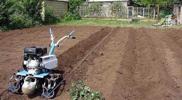 cutting of beds