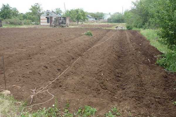 plot Ridge formation