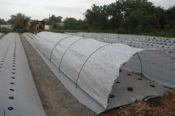 aluminum tunnel